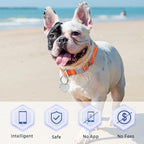 Dog Tags Personalized for Pets,Dog Name Tags QR Code,No Subscription Fees,Modifiable Pet Online Profile,Stainless Steel,No App Required,for Dogs and Cats Small,Medium,Large(Heart,Regular)