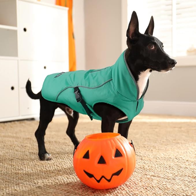 EMUST Dog Winter Coat, Thick Windproof Pet Jacket Winter, Pet Cold Weather Coats for Small/Medium/Large Dog, Turquoise, XXL