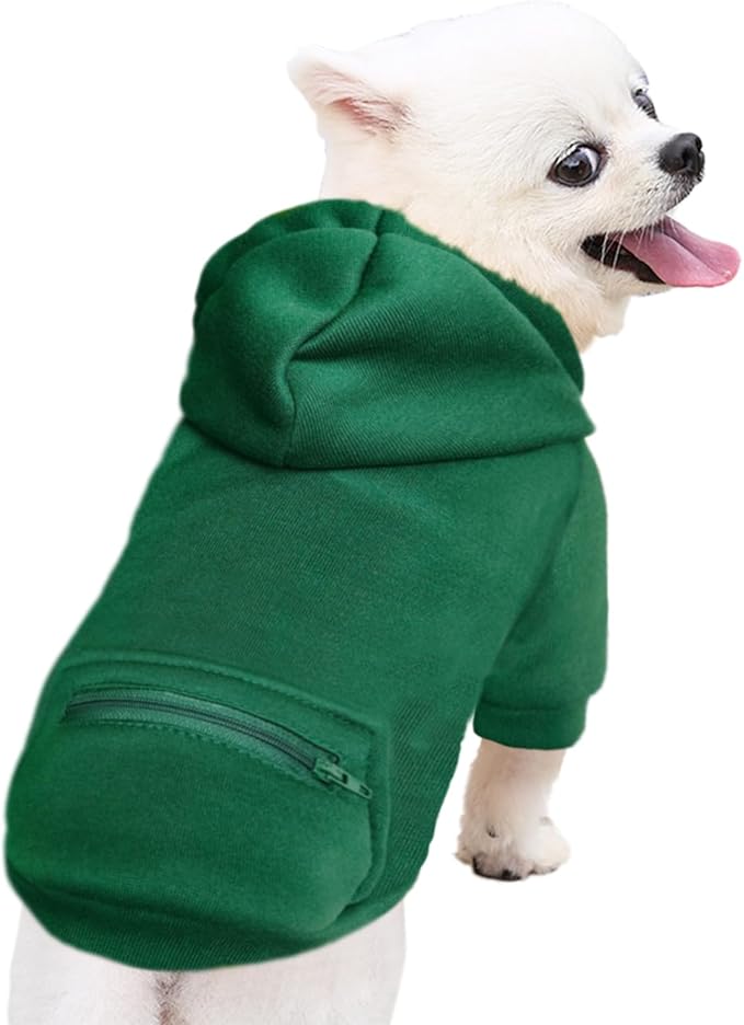 Jecikelon Pet Dog Cold Weather Coat with Pocket Winter Dog Hoodie Warm Puppy Clothes for Small Dogs Chihuahua Clothing (Green, Medium)
