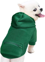 Jecikelon Pet Dog Cold Weather Coat with Pocket Winter Dog Hoodie Warm Puppy Clothes for Small Dogs Chihuahua Clothing (Green, Large)
