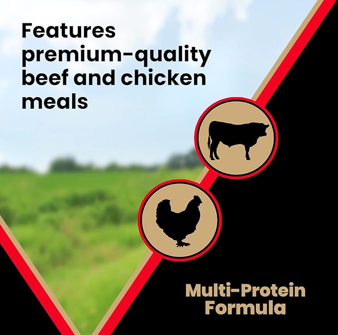 VICTOR Super Premium Dog Food – High Energy Dry Dog Food for Active Dogs – Gluten Free Canine Kibble with Beef and Chicken Meal Proteins for Sporting Dogs – All Breeds and All Life Stages, 5 lb