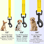 Dogline Biothane Waterproof Dog Leash Strong Coated Nylon Webbing with Black Hardware Odor-Proof Easy to Clean High Performance for Small or Large Dogs Made in USA 4 or 6 ft Lead, Lemon Yellow