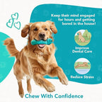 Treat Dispenser Bone Toy, Beef Flavored Rubber Dog Treat Toy, Floatable Dog Enrichment Toys, Refillable