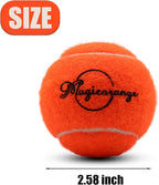 Magicorange 20 Pack Dog Tennis Balls, Tennis Balls for Dogs,Pet Ball Come with Mesh Bag for Easy Transport, Colorful Easy Catching Pet Dog Balls(Multi-Color, 20 Pack)