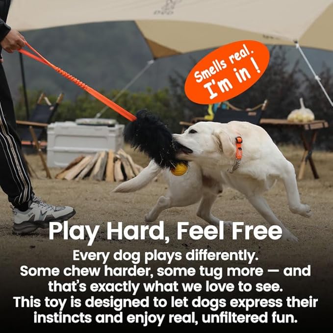 HOWGO Dog Rope Toy,Dog Bungee Chaser Toy 100% Sheepskin,Sheep Smell Tug Toy for All Breeds (Green, with Rubber Ball)