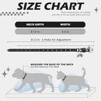 EXPAWLORER Leather Cat Collar for Girl Boy- Adjustable Pet Collar with Safety Elastic Belt,Personalized Punk Accessories Buckle Collars with Bell & Durable D-Ring,Pure Rivets(Black)
