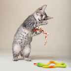 CiyvoLyeen 5 Pack Snake Cat Toys Catnip Toys for Indoor Cats Kitten Supplies Interactive Snakes Cat Toy Birthday Gift for Cat Lovers Dental Health Chew Toy