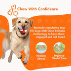 Chew Ball for Dogs, Bacon Scented Durable Dog Ball Toy, Long-Lasting & Tough Balls for Oral Health, Odor Stimulating Dog Toys for Aggressive Chewers