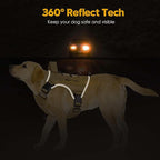 Heavy-Duty Tactical Dog Harness for Large Dogs, No Pull Adjustable Reflective Pet Vest with Molle System, K9 Military-Grade Control for Service Training, Outdoor & 10+ Breeds, Khaki, Small