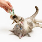 20PCS Interactive Cat Toys t for Indoor Cats, Feather Elastic Mesh, Catnip Ball, Colorful Spring, Rainbow Plush, Teething & Self-Play Kitten Accessories Variety Pack