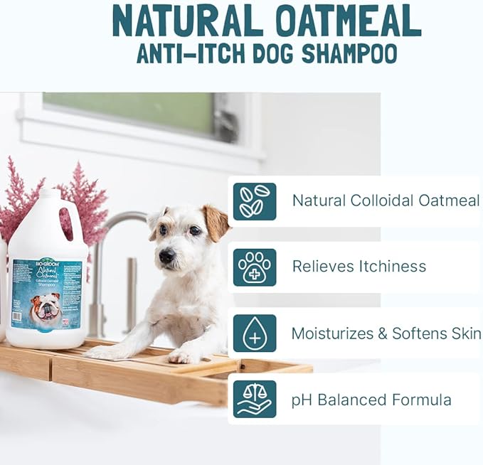 Bio-Groom Oatmeal Dog Shampoo-for Allergies and Itching, Cruelty-Free, Dog Bathing Supplies, Puppy Shampoo for Sensitive Skin, Made in USA, Anti-Itch Dog Products-2.5 Gallons