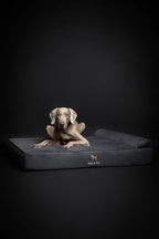 NOAH & PAW XL Dog Bed, 45x35x9.1 Inch, Orthopedic Large Dog Beds, Eggshell Memory Foam Infused with Cooling Gel, Waterproof, Machine Washable, Includes Inner Cover (Faux Leather)