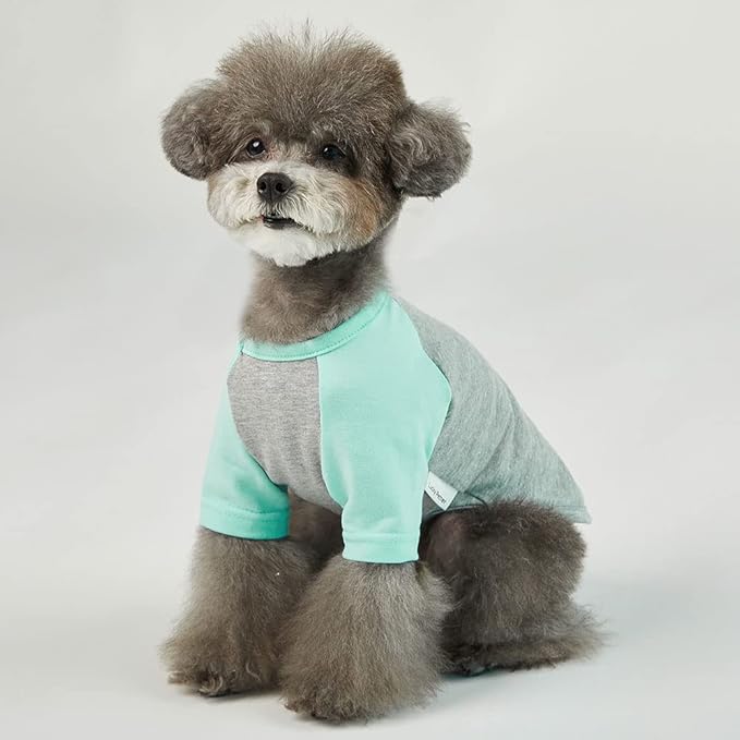 Dog Shirt for Small and Large Dogs Raglan Cotton T-Shirts Soft Breathable Dog Shirts pet Clothes Gray Series (X-Small, Gray/Mint)