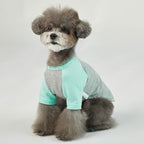 Dog Shirt for Small and Large Dogs, Cotton T-Shirt, Gray/Mint, Large