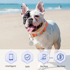 Dog Tags Personalized for Pets,Dog Name Tags QR Code,No Subscription Fees,Modifiable Pet Online Profile,Stainless Steel,No App Required,for Dogs and Cats Small,Medium,Large(Round,Small)