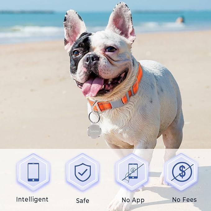 Dog Tags Personalized for Pets,Dog Name Tags QR Code,No Subscription Fees,Modifiable Pet Online Profile,Stainless Steel,No App Required,for Dogs and Cats Small,Medium,Large(Round,Small)