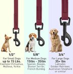 Dogline Biothane Waterproof Dog Leash Strong Coated Nylon Webbing with Black Hardware Odor-Proof Easy to Clean High Performance for Small or Large Dogs Made in USA 4 or 6 ft Lead, Merlot Burgundy