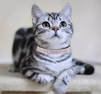 THAIN Rhinestones Cat Dog Collar Soft Velvet Safe Adjustable Collar Bling Diamante with Bells, 8-11 inch for Small Dogs and Cats (Black)