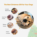 Dog Squeaky Toys, Durable Stuffed Crinkle Plush Dog Chew Toys for Puppy Teething, Interactive Dog Toys for Small, Medium and Large Dogs (Grey+Yellow, Hedgehogs)