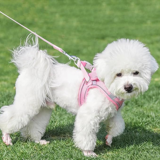 AIITLE Small Harness for Puppy with A Leash - Summer Dog Vest Harness with Super Breathable Mesh, Reflective No-Pull Pet Harness for Outdoor Walking, Camping for Small Dogs, Cats Pure Pink XXS