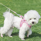 AIITLE No Pull Dog Harness and Leash Set, Step in Adjustable Dog Harness with Padded Vest for All Weather, Dog Leash with Soft Padded Handle, Easy to Put on Small and Medium Dogs Pure Pink S