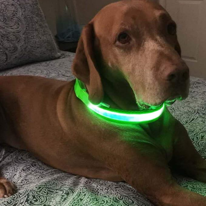 MASBRILL LED Dog Collar,Light Up Dog Collars Rechargeable Lighted Dog Collar Glowing Dog Night Walking Collar 4 Colors for Choice