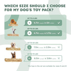 Alfred & Beebee Eco-Friendly Natural Coffee Wood Dog Chew Toy 4 Pack - for Regular Chewers - Dog Dental Chew - Small Medium - Coconut Ball, Rope Stick S - M