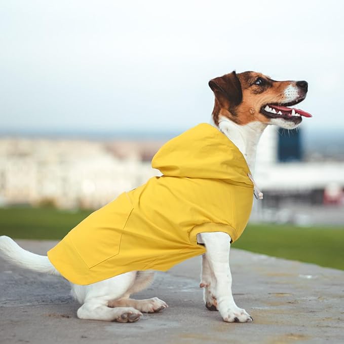 Dog Raincoat rain Jacket Dogs Waterproof fit for Small Medium Breeds Zipper Closure Pocket Storage in Cold Day - Yellow - M