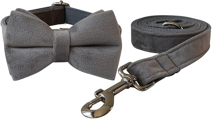 Dog Collar Custom Personalized Engraved Name and Phone Number for Puppy Small Medium Large Pets (L, Grey)