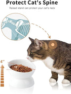 Cat Water Bowl, 16 OZ Ceramic Elevated Cat Bowls, 15° Tilted and Raised Pet Food Dish, Anti Vomiting Protect Pets' Spines and Whisker Fatigue