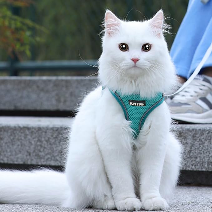 AIITLE Dog Harness, Summer No-Pull Cat Harness with a Leash, Adjustable Reflective Dog Vest, Cat Harness Escape Proof, Outdoor Walking, Camping for Extra Small Dogs and House Cats Pure Turquoise XXXS