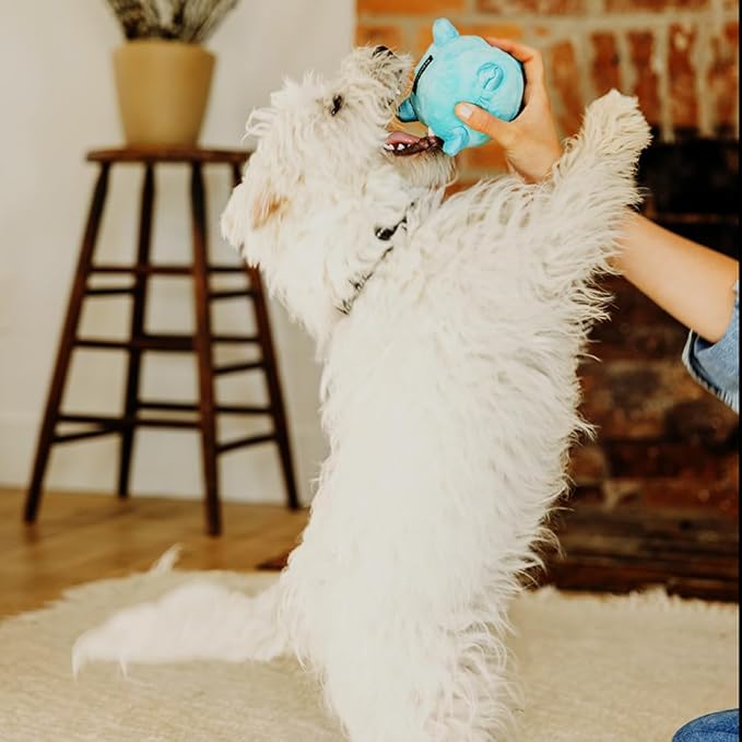 Playology Dog Toys | Puppy Toy Plush Sensory Ball for Dogs and Puppies for Dogs and Puppies | Medium Peanut Butter Scented Toy - Easy to Clean and Made from Non Toxic Materials