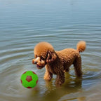 4 Pack Squeaky Balls for Dogs, 2.4 Inch Eco-Friendly Rubber Dog Squeaky Toy, Colorful Football Pattern Squeaky Toys for Dogs (Orange, Green, Pink, Light Blue)