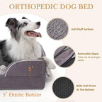Comfort Expression Orthopedic Dog Bed for Extra Large Dogs 42x30 Inch, Waterproof Supportive Egg Crate Foam XL Pet Bed with Removable Bolsters, Dog Couch with Washable Cover & Non-Slip Bottom, Purple
