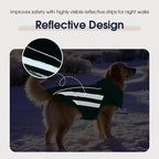 IECOii Dog Coat - Waterproof, Windproof Winter Coats for Light Rain & Snow Cold Weather, Reflective & Adjustable, Warm Fleece Lined, Dachshund, Green, Size M