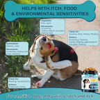 200 Dog Allergy Relief Chews for Dogs Itchy Skin Relief, Anti Itch for Dogs Ears & Paw Relief, Itchy Dog Skin Relief for Seasonal Allergy, Omega 3 Fish Oil, Turmeric & Colostrum Immune Support