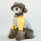 Dog Shirt for Small and Large Dogs - Cotton T-Shirt - Gray/Yellow - Medium