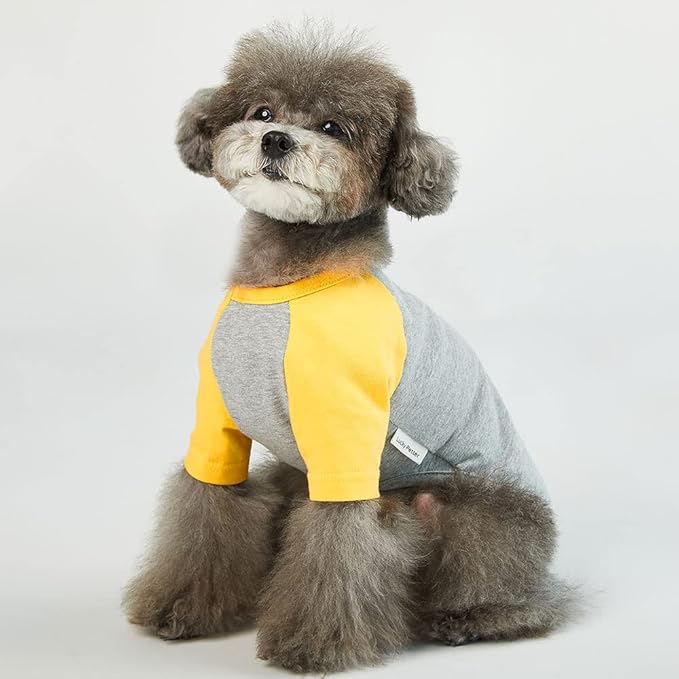 Dog Shirt for Small and Large Dogs - Cotton T-Shirt - Gray/Yellow - Medium
