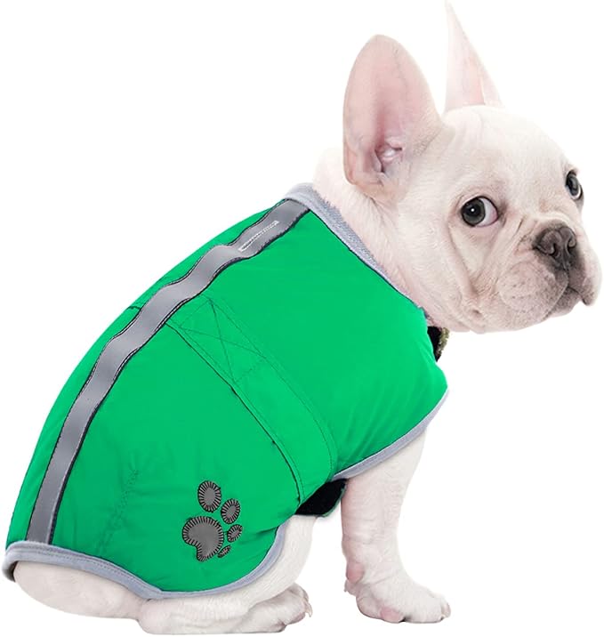 Queenmore Dog Winter Coat, Cold Weather Fleece Jacket for Dogs, Waterproof Reflective Reversible, for Small, Medium and Large Dogs (Green, M)