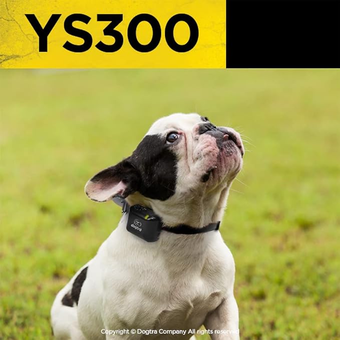 Dogtra YS300 Anti Bark Dog Collar for Small and Medium Dogs, Adjustable 6 Stimulation Levels, Vibration Warning, Low to Medium Output, Waterproof, Rechargeable w/PetsTEK Clicker