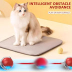 Dog Toy, 360° Rolling Interactive Ball Cat Toy with Realistic Bird Chirping Sounds, Fast Moving Balls Toys for Pets | Automatic Obstacle Avoidance, Rechargeable, Tough (Red)