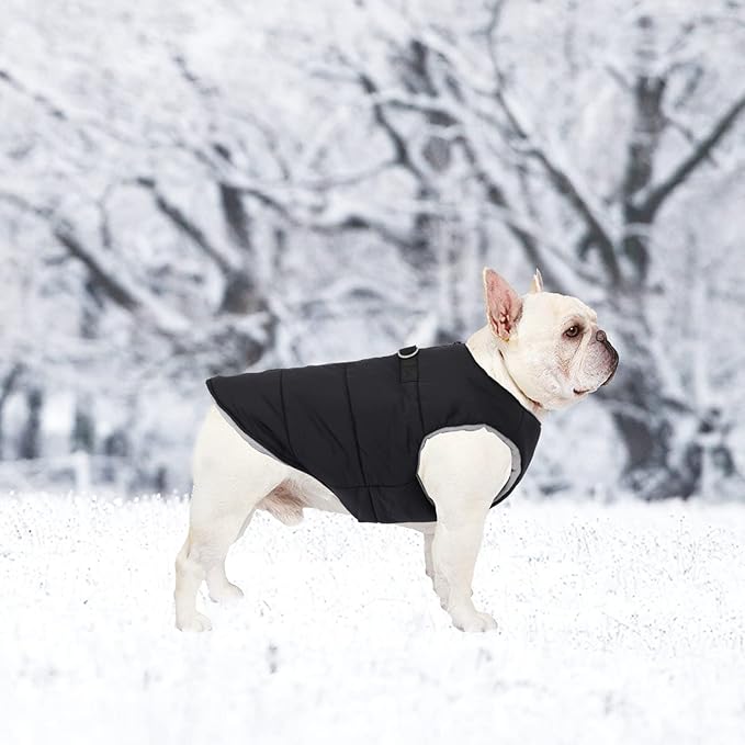 Geyecete Dog Bulldog Clothes Dog Cotton Padded Coat Thick Winter Warm Vest Waistcoat Cold Weather Jacket Clothing for French Bulldog Coat-Black-S