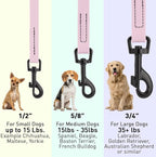 Dogline Biothane Waterproof Dog Leash Strong Coated Nylon Webbing with Black Hardware Odor-Proof Easy to Clean High Performance for Small or Large Dogs Made in USA 4 or 6 ft Lead, Pastel Purple