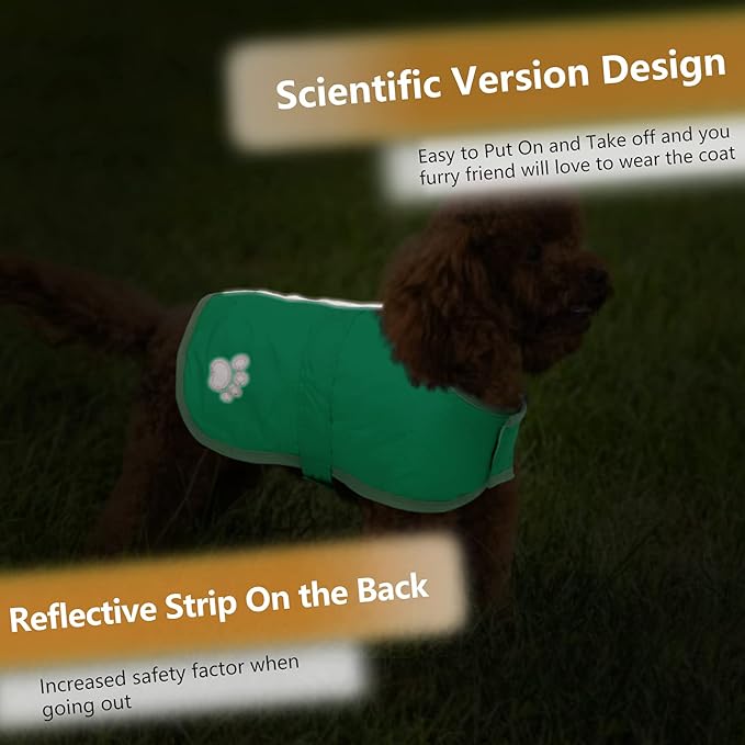 Queenmore Dog Winter Coat, Cold Weather Fleece Jacket for Dogs, Waterproof Reflective Reversible, for Small, Medium and Large Dogs (Green, XL)