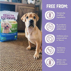 Health Extension Little Bites Dry Dog Food for Toy and Small Breeds, Chicken & Brown Rice Recipe, with Probiotics & Superfoods for Digestion & Coat Health, 4 lb Bag (Pack of 2)