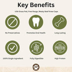 Top Dog Chews – Knee Caps, 10 Count, Dog Beef Chew Bones, Long Lasting Treats for Aggressive Chewers, Perfect for Large Medium, or Small Dogs, Made in USA