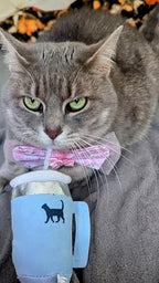 Kitty Cup Catnip Toy - Christmas & Birthday Cat Gift Toy with Catnip & Crinkle, Funny Stocking Stuffer for Girl Indoor Kitten (Chambray Blue)