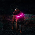 MASBRILL Light Up Dog Collar, LED Glow Collar with USB Rechargeable Lighted Bright Flashing Pink Dog Collar Waterproof for Small Medium Large Dogs, 4 Colors with 3 Sizes (S(0.98 * 15.75"), Pink)