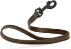 Dogline Biothane Waterproof Dog Leash Strong Coated Nylon Webbing with Black Hardware Odor-Proof Easy to Clean High Performance for Small or Large Dogs Made in USA 2 ft Lead, Dark Chocolate Brown
