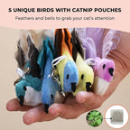 Whiskertons Interactive Bird Simulation Cat Toy Set, Interactive Cat Toys for Indoor Cats, Cat Feather Toy, Self-Holding Suction Cup, 5 Catnip Birds, Feathers, Bells (Catnip Bird Toy Set with 5 Birds)